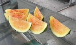 文艺圈-自由吃瓜,自由吃瓜，揭秘娱乐圈幕后故事