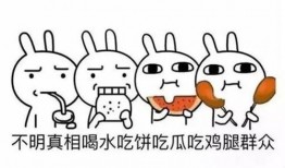 吃瓜群众的基本含义,网络时代的旁观者与评论者