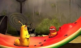 西瓜幼瓜被虫子吃,守护夏日甜蜜果实