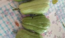 每日吃瓜大神,揭秘娱乐圈幕后真相