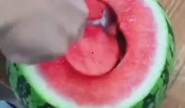 快到了吃瓜的季节,迎接吃瓜季的甜蜜狂欢