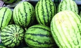 吃瓜超快,揭秘娱乐圈幕后真相