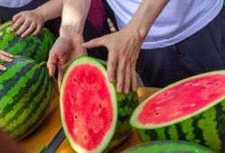 哈尔滨大学吃瓜事件,校园风波背后的真相揭秘