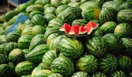 吃栗瓜会发胖吗,吃栗瓜真的会让人发胖吗？揭秘栗瓜热量与减肥真相