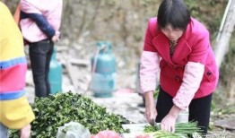 带你吃瓜开幕,揭开娱乐圈幕后故事，揭秘明星真实生活