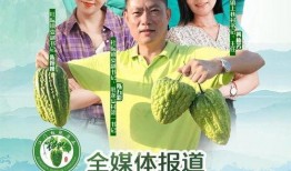 舒兰心声吃瓜小说,揭秘吃瓜小说背后的故事与情感纠葛