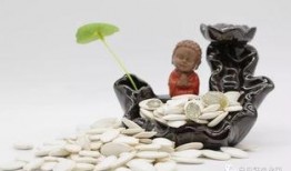 吃白瓜带籽,吃白瓜带籽的奇妙体验