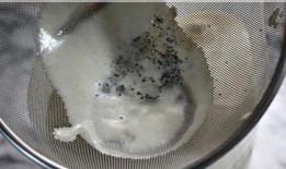 布蕾bury吃瓜,瓜田里的时尚瓜王