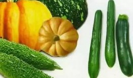 吃瓜也要看品种,吃瓜也要看品种，揭秘不同瓜类背后的秘密