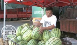 3号楼吃瓜,揭秘吃瓜群众的欢乐盛宴