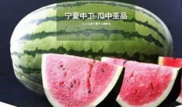 鲤鱼吃瓜的视频