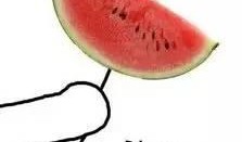 吃瓜群众的瓜图片,揭秘吃瓜群众的瓜图片背后的故事