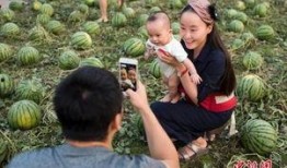 吃瓜群众瓜田,揭秘吃瓜群众的趣味生活