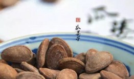 吃瓜篓子上火么