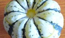 嗯小孩发烧可以吃蒸吗瓜