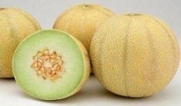 吃哈密瓜高钾血症,高钾血症的潜在威胁