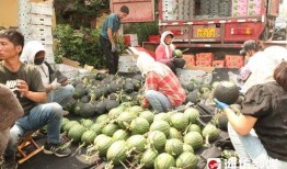 前线吃瓜人员,揭秘战地风云中的幕后故事