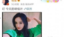 圈内人吃瓜和圈外人吃瓜,揭秘娱乐圈的神秘面纱
