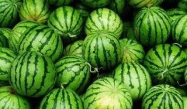 打卡吃瓜怎么拍照好看