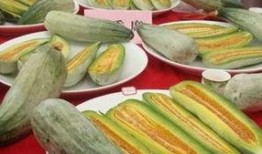 酥瓜可以吃皮吗,解锁健康美味新选择