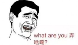 生命不止吃瓜不止,揭秘娱乐圈的瓜田乐土