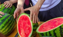 哈尔滨学校吃瓜事件,校园食品安全问题引发关注