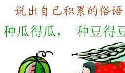 吃瓜烙俗语的来历,俗语背后的历史渊源与演变