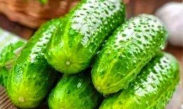 叶珂吃瓜整理,揭秘娱乐圈幕后故事