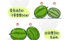 吃瓜管理学,创新学生管理模式探析