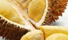 吃蜜瓜榴莲的视频,口感盛宴一网打尽！