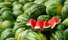 吃瓜下雨天,夏日清凉时光