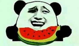 吃瓜了套路,吃瓜群众带你领略明星幕后故事