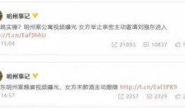 吃瓜群众监视人家视频,视频背后的秘密