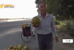 韩国大叔吃瓜,揭秘娱乐圈幕后故事