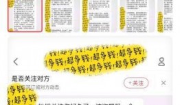 专属吃瓜网站,专属吃瓜网站带你领略娱乐圈风云变幻