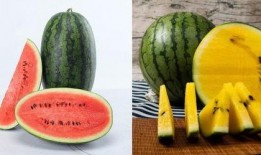 凝凝吃瓜,揭秘娱乐圈幕后故事