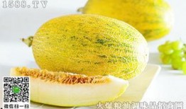 哺乳吃哈密瓜好处,这些好处让你惊喜不已