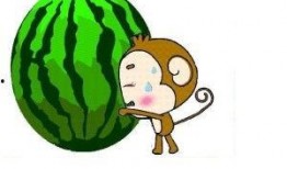 吃瓜西瓜小傻瓜,揭秘“吃瓜西瓜小傻瓜”的欢乐故事