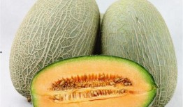 血糖吃哈密瓜,哈密瓜的甜蜜平衡之道