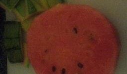 懒人怎么吃瓜视频,一视频带你轻松了解热门事件