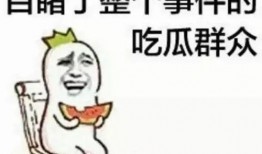 避嫌吃瓜群众,网络舆论场中的隐秘力量