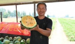 游咔上有吃瓜,揭秘游戏圈那些鲜为人知的幕后故事