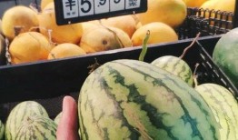 京瓜可以常吃吗,健康生活新选择”