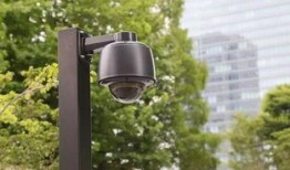 监控下吃瓜视频