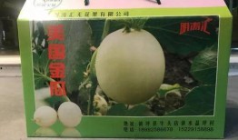 美国网上吃瓜,揭秘虚拟世界中的社交狂欢