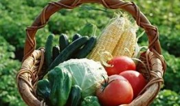 辽宁理工吃瓜事件,校园风波背后的真相揭秘