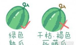 如何才能提前吃瓜,提前掌握热门事件，成为吃瓜群众的先行者