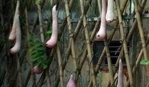 带你吃瓜搞笑国画,带你领略搞笑国画中的趣味人生