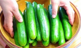 斤瓜怎么吃,解锁瓜类食材的多彩吃法