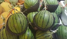 田宝吃瓜,揭秘娱乐圈幕后故事